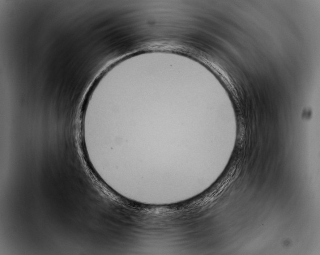 X0000103320992200810171357