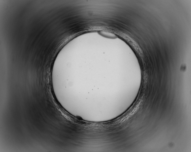 X0000103320993200810171357