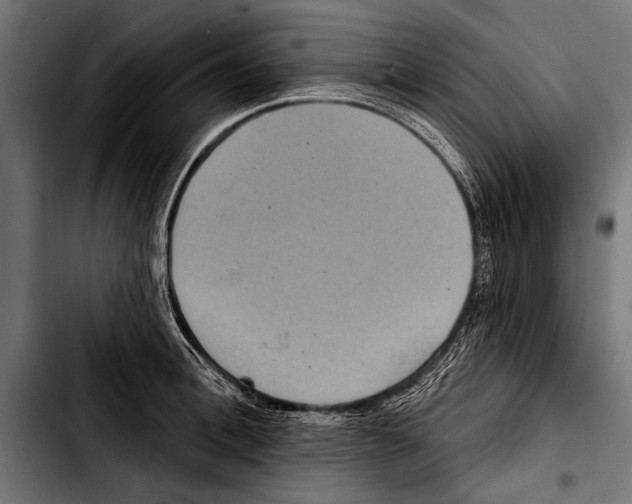 X0000103320996200810171357
