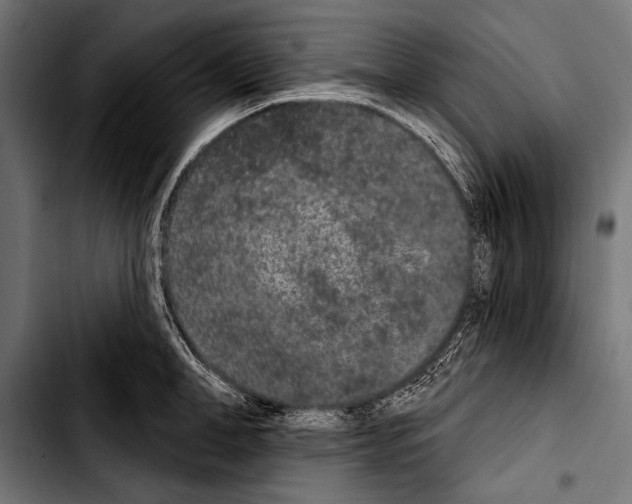 X0000103320998200810171357
