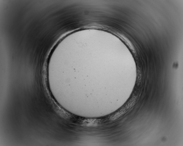 X0000103321000200810171357