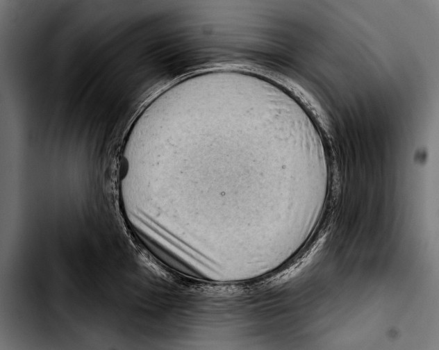 X0000103321001200810171357