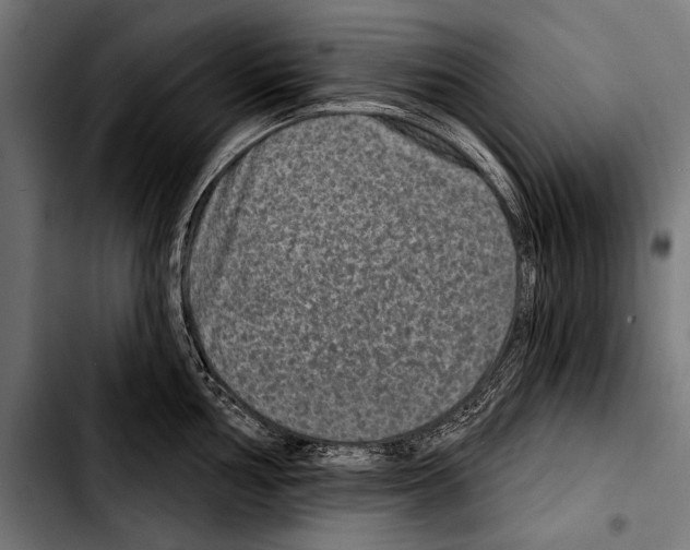 X0000103321002200810171357