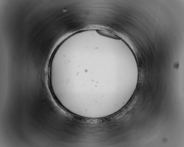 X0000103321003200810171357