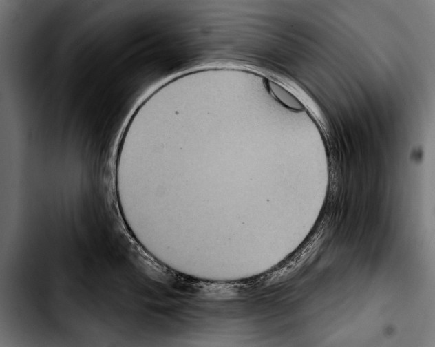 X0000103321004200810171357