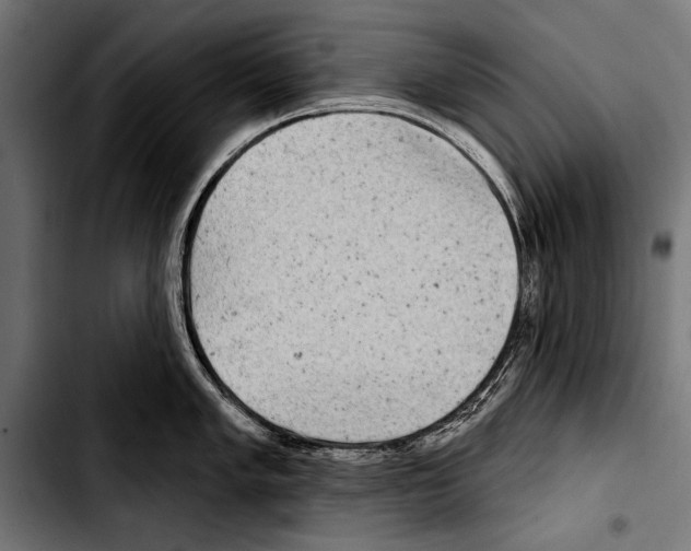 X0000103321005200810171357