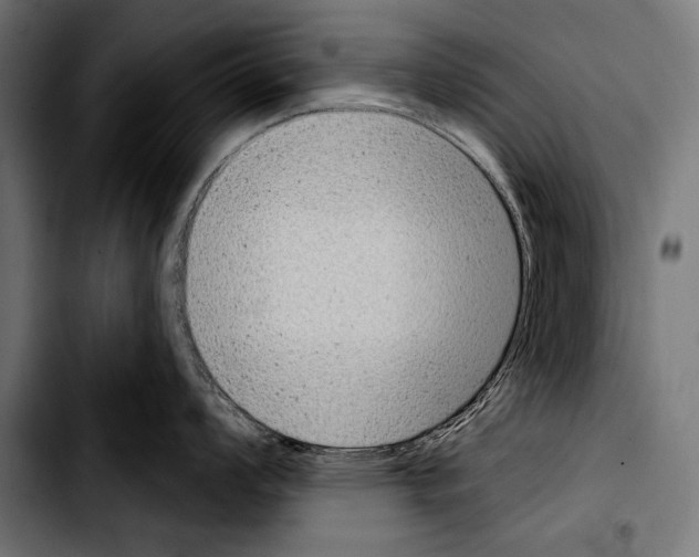 X0000103321008200810171357