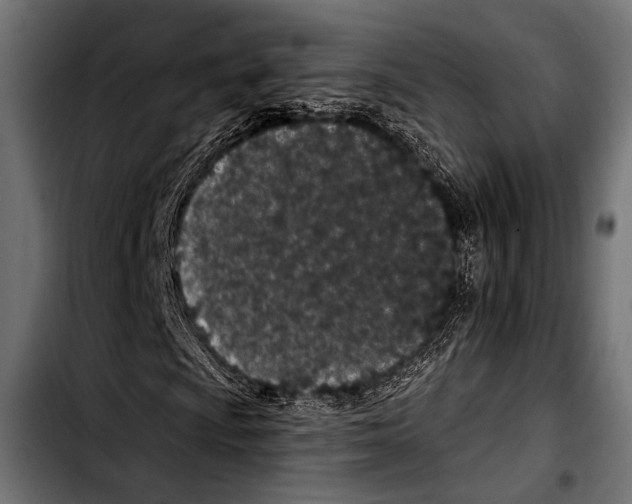 X0000103321009200810171356