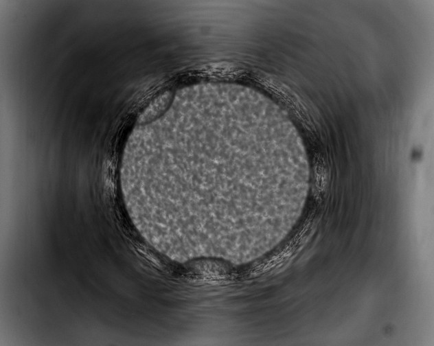 X0000103321010200810171356