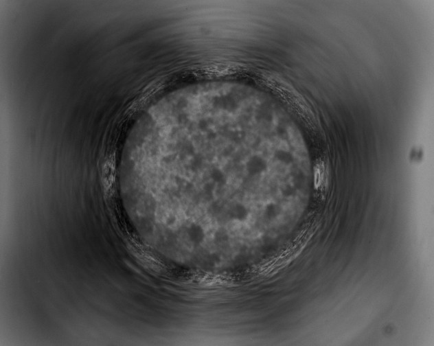 X0000103321011200810171356