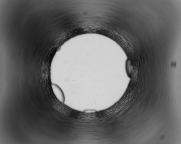 X0000103321012200810171356