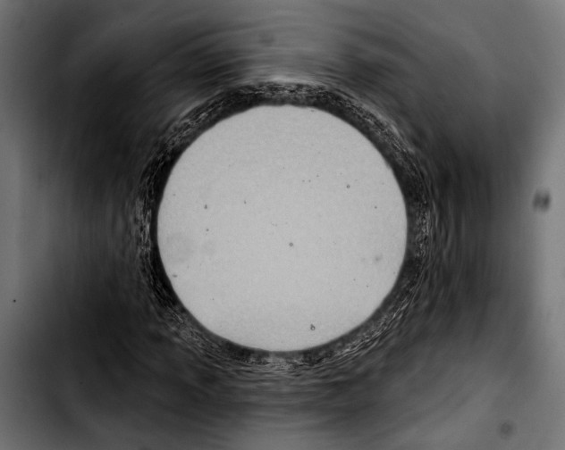 X0000103321013200810171356