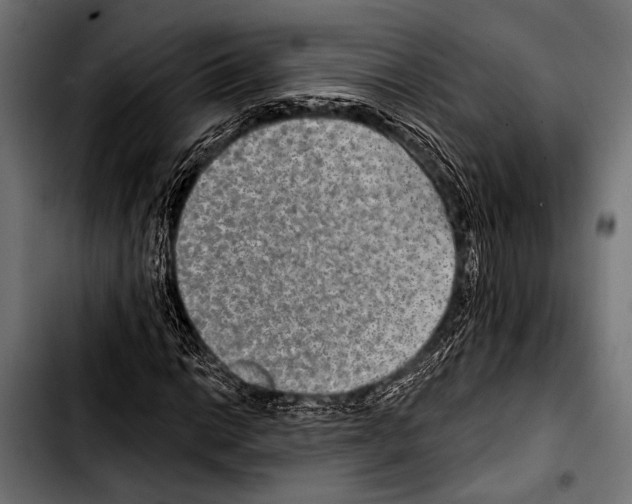 X0000103321014200810171356