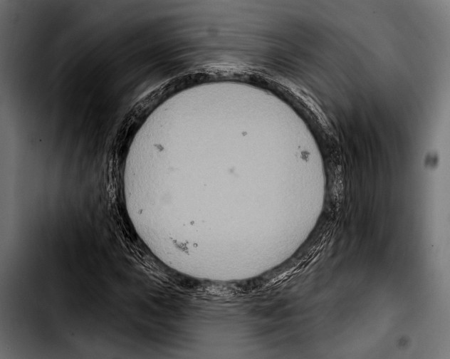 X0000103321015200810171356