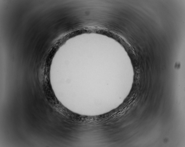 X0000103321016200810171356