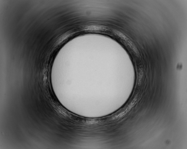 X0000103321017200810171356