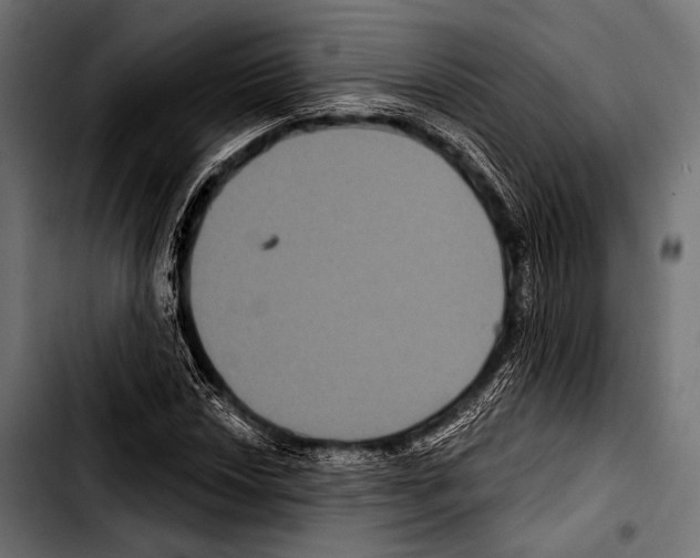 X0000103321018200810171356