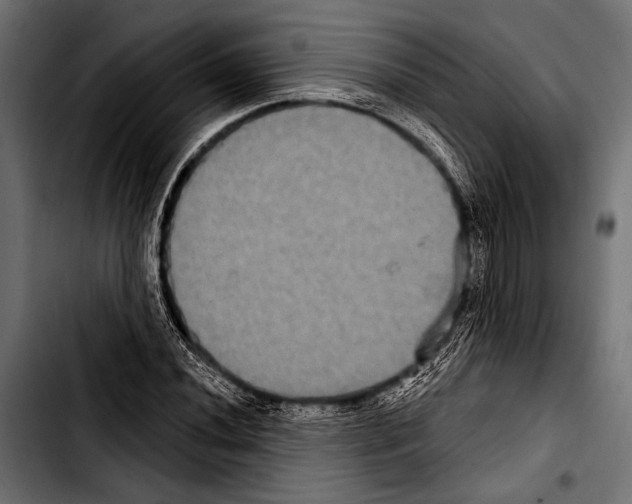 X0000103321020200810171356