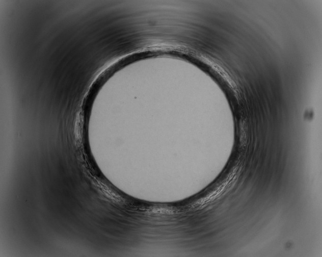 X0000103321021200810171356