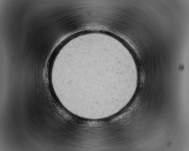 X0000103321022200810171356