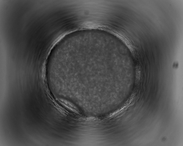 X0000103321023200810171356