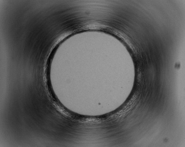 X0000103321026200810171356