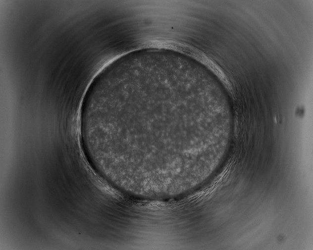 X0000103321028200810171356
