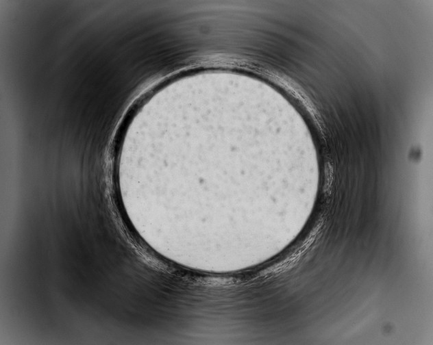 X0000103321029200810171356