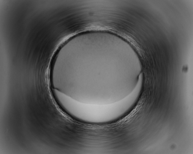 X0000103321030200810171356