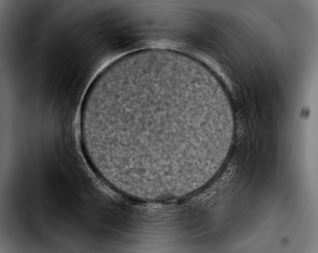X0000103321032200810171356