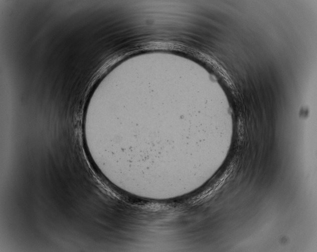 X0000103321033200810171356