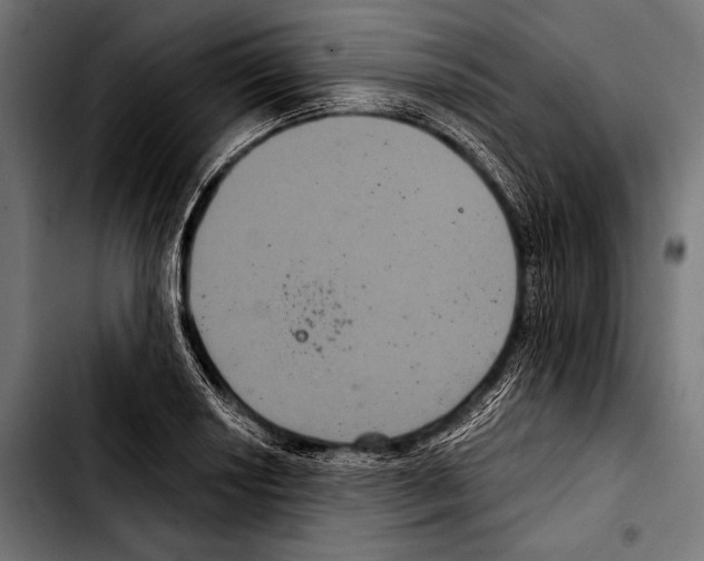 X0000103321034200810171356