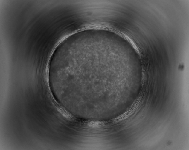 X0000103321035200810171356
