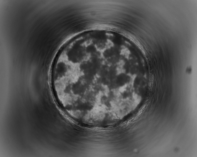 X0000103321037200810171356