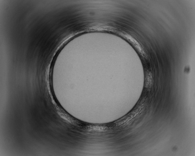 X0000103321039200810171357