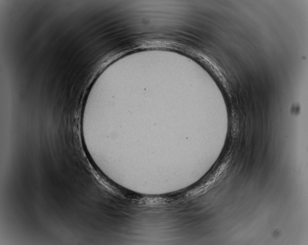 X0000103321041200810171357