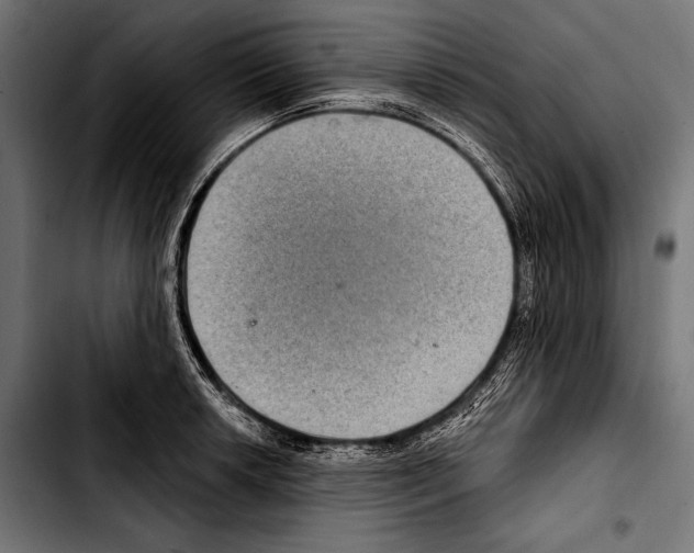 X0000103321042200810171357