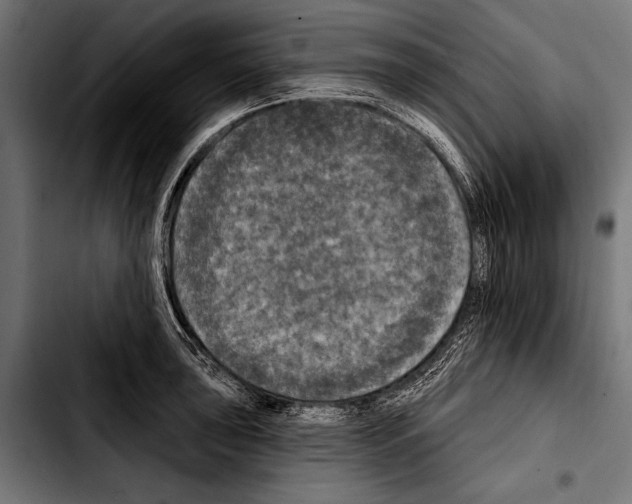 X0000103321043200810171357