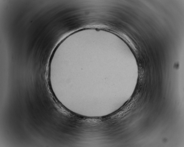 X0000103321044200810171357