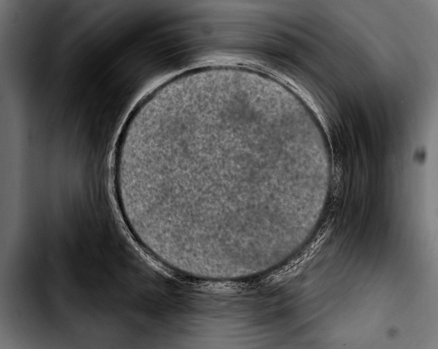 X0000103321045200810171357