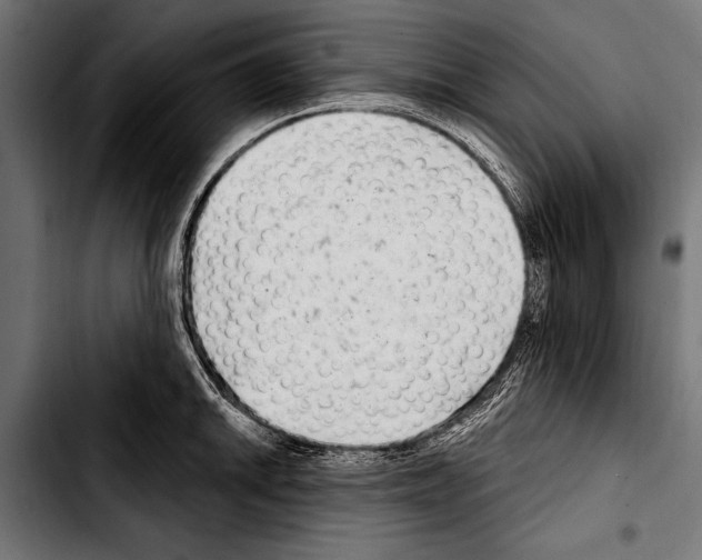 X0000103321046200810171357