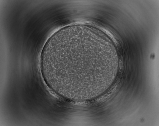 X0000103321047200810171357