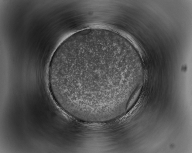 X0000103321048200810171357