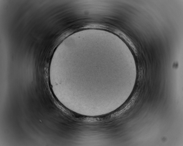 X0000103321049200810171357