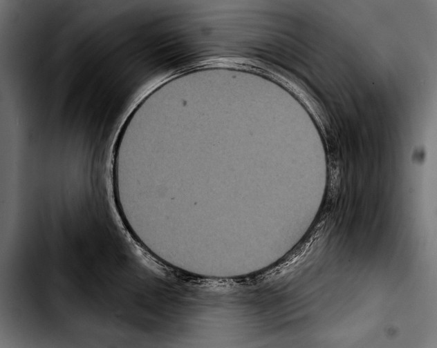 X0000103321050200810171357