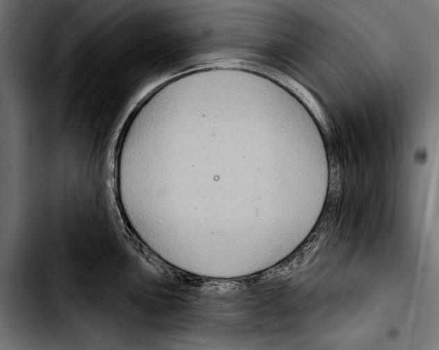 X0000103321051200810171357