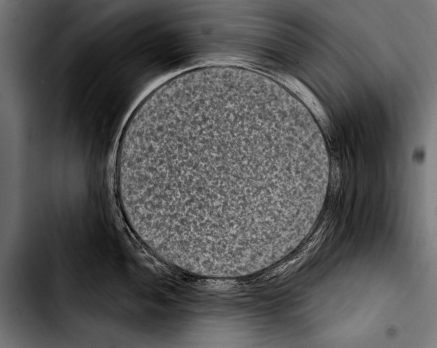 X0000103321052200810171357
