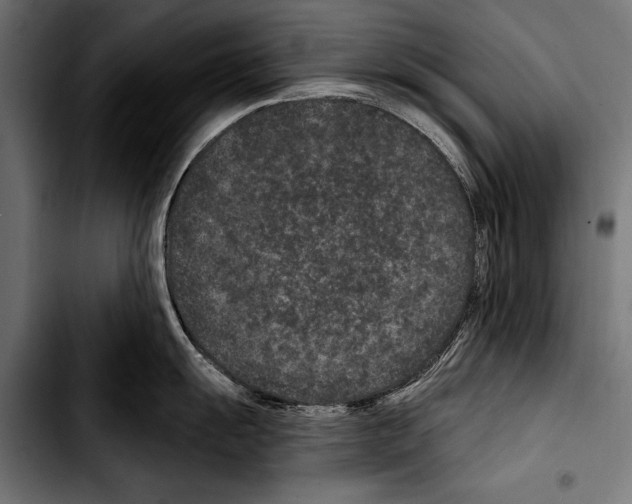 X0000103321055200810171357