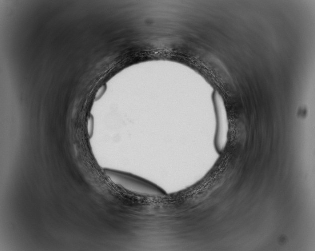X0000103321057200810171356