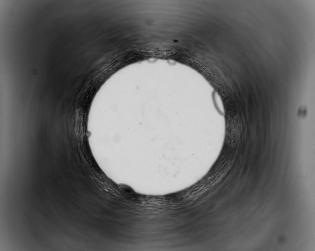 X0000103321058200810171356